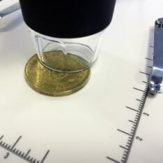 Mikroskop Digitalt USB (300x)